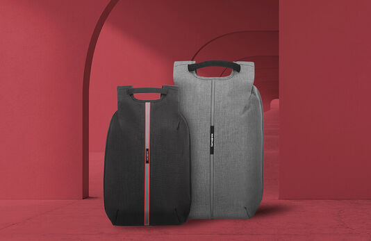 RYGGSEKKER MED TYVERISIKRING