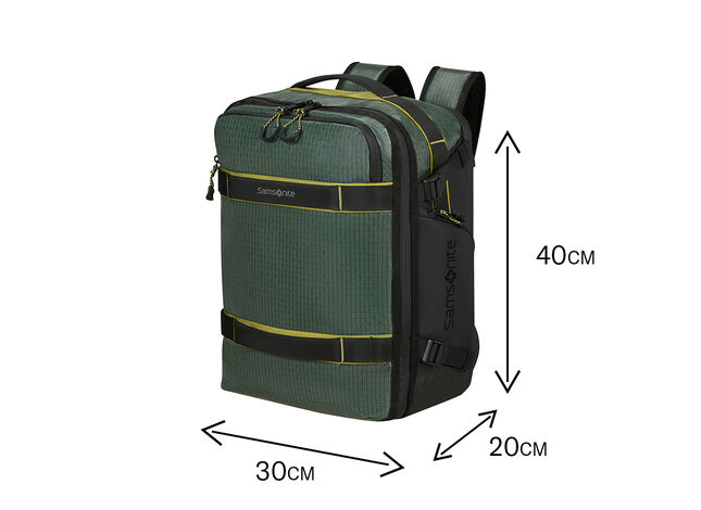 Oppfyller Ryanairs krav