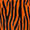 Tiger Toby Tiger Toby