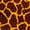 Giraffe G. Giraffe G.